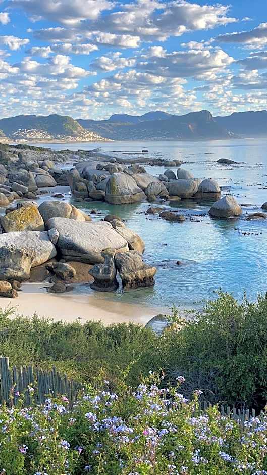 Bosky Dell on Boulders Beach