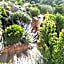 Residence Marina Di A Testa