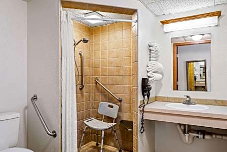 1 Queen Bed Nonsmoking Accessible