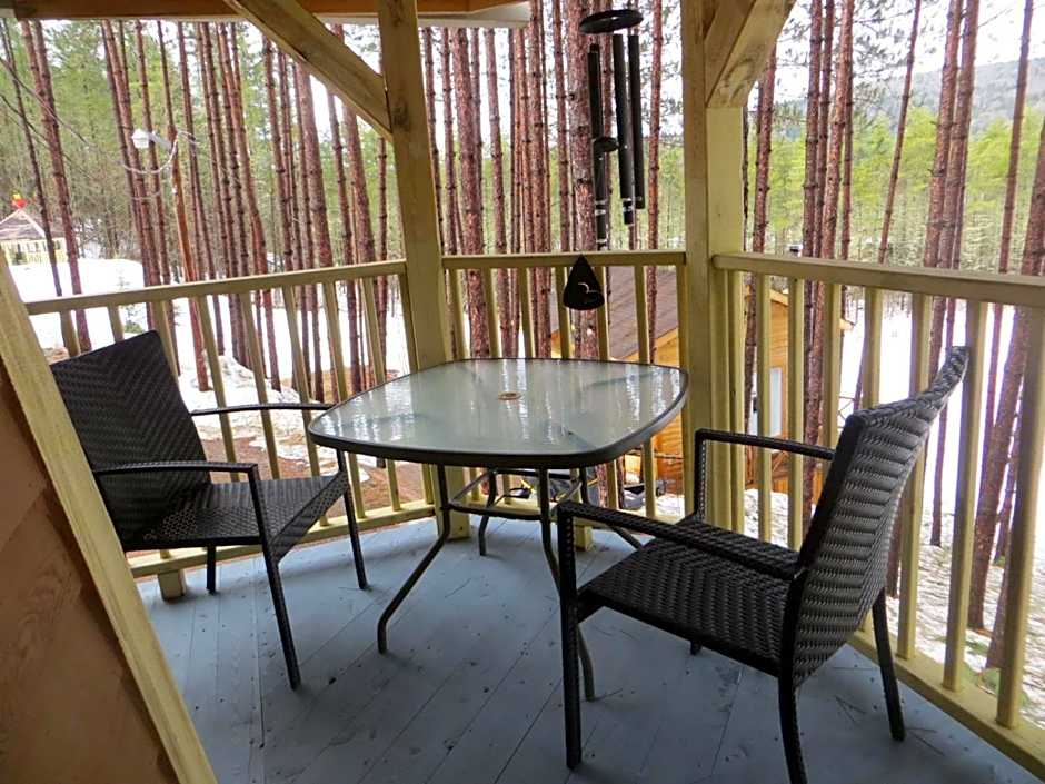 La maison sous les arbres