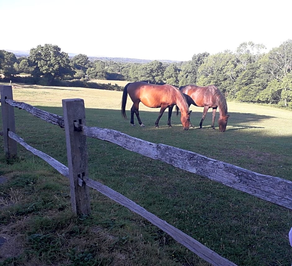 Moaps Farm B&B support small business, welcome, check in from 5 pm