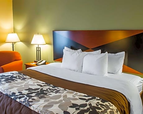 1 King Bed, Nonsmoking