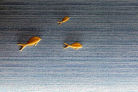 Twin Room - Club Access