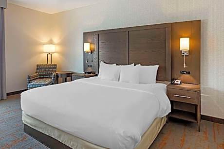 King Room - Accessible/Non-Smoking
