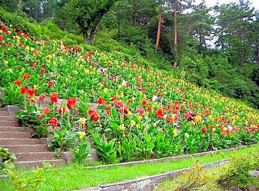 Nozawa Onsen Nozawa Grand Hotel