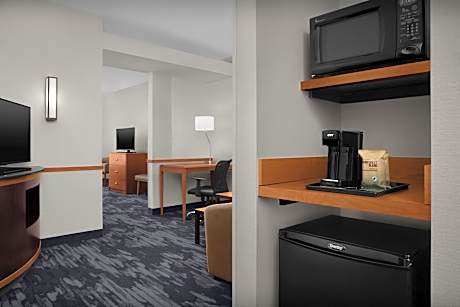 Suite, 1 Bedroom (Mobility/Hearing Access, Roll-In Shwr) (1 King Bed and 1 Double Sofa Bed)