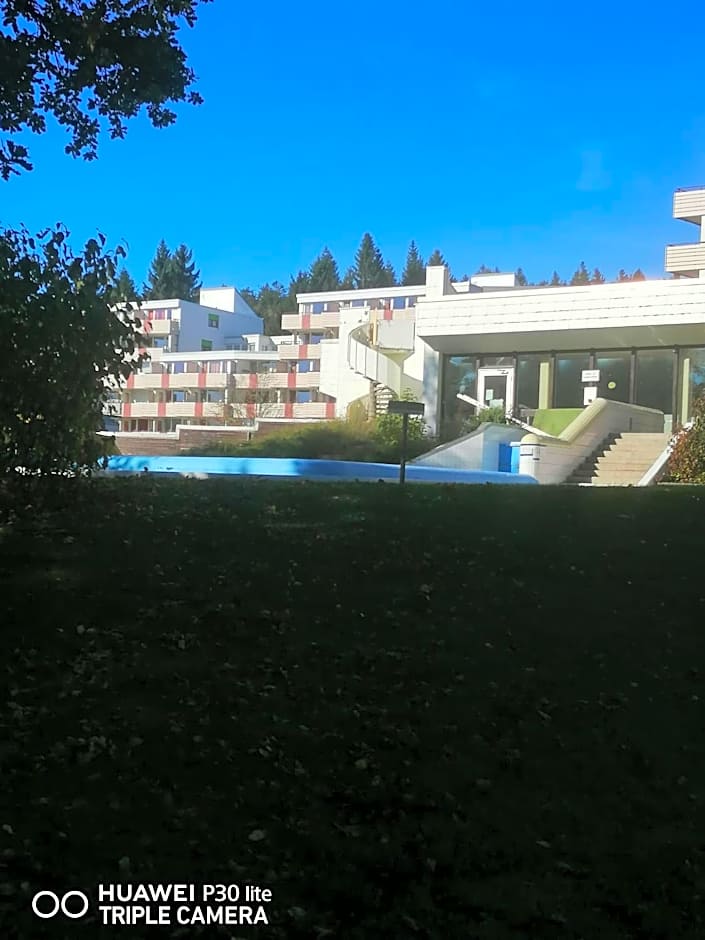 King Panorama mit Netflix