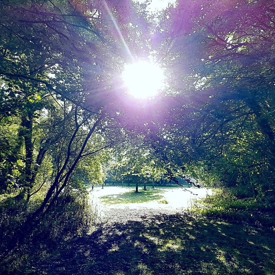 The Duchy Barn at Tregoose Old Mill