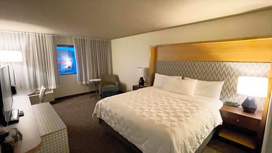 Wyndham Flint MI/Grand Blanc/Bishop Airport/Conference Ct