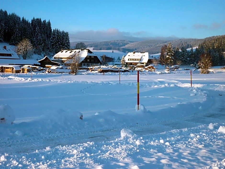 Hotel Zum Löwen - Unteres Wirtshaus