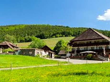 Landgasthaus Grüner Baum