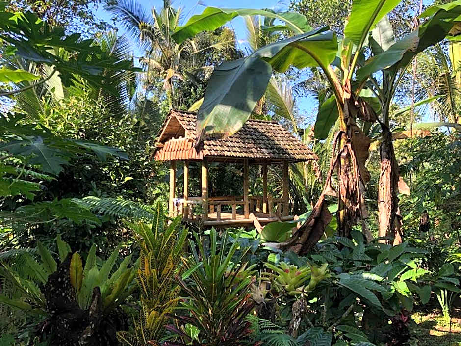 Bali mountain forest cabin