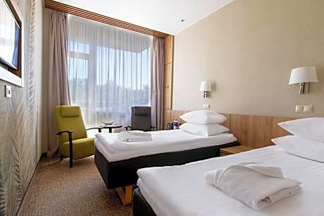 Deluxe Room with spa access