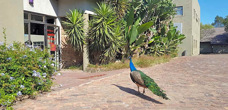 Umuzi Lodge