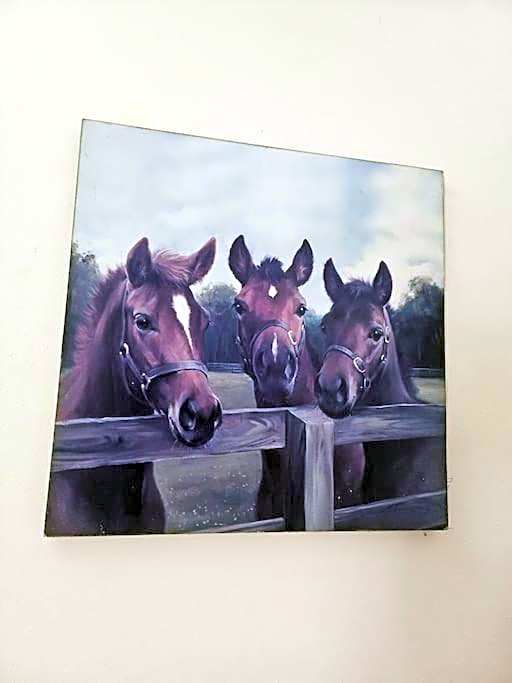 Chalet in Stella Makadi on ground floor