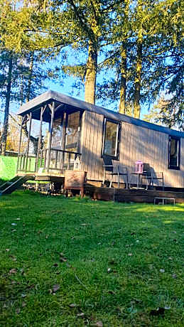 Pipowagen Bed bij Bos