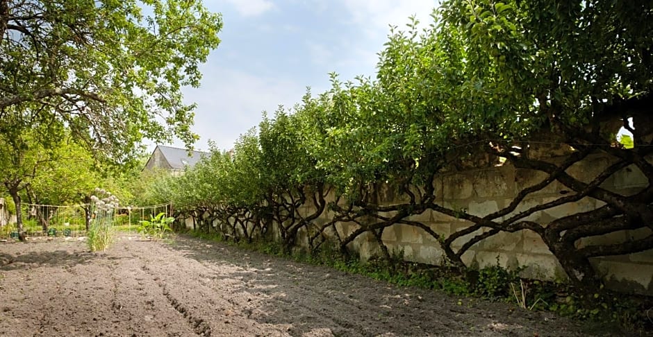 Chambre d'Hôtes des Grands Moulins de Baugé