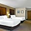 Comfort Inn Ludington near US-10