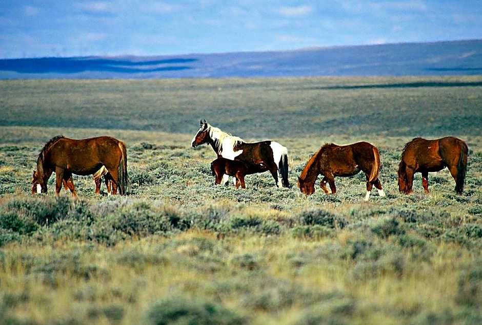 Holiday Inn Rock Springs By IHG