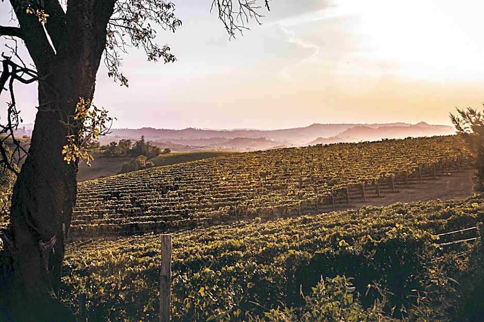 Villa Vinory Bricco di Nizza