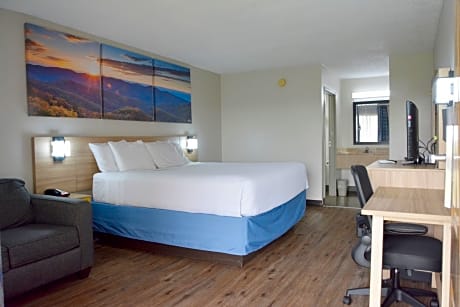 1 King Bed Studio Suite Smoking