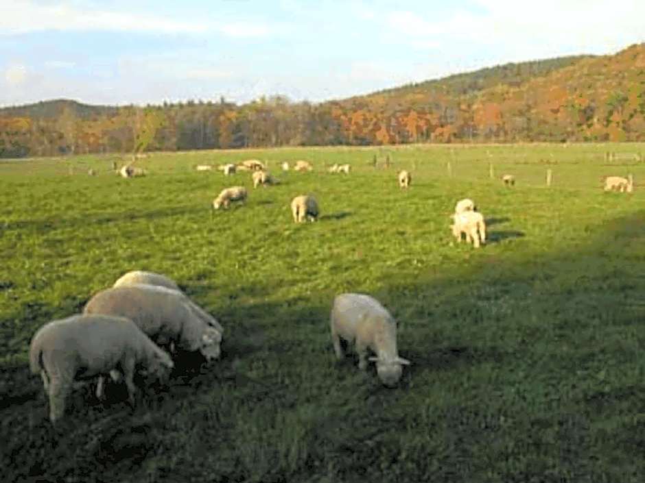 Yorkshire Farm Hotel