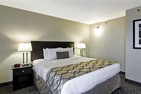 1 King Bed, Suite, Nonsmoking