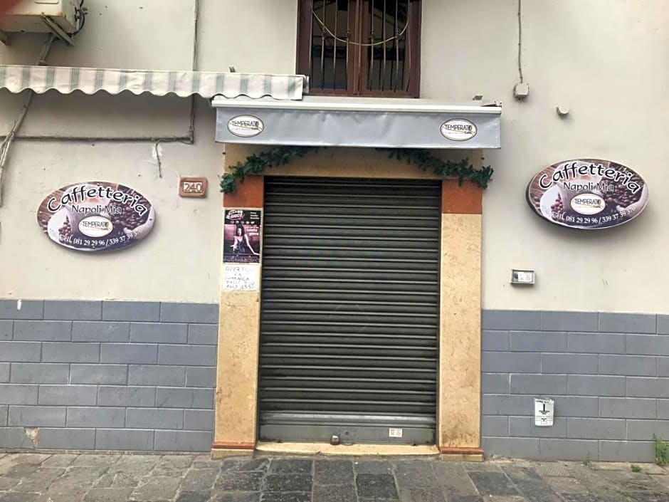 Regy – Naples, CO