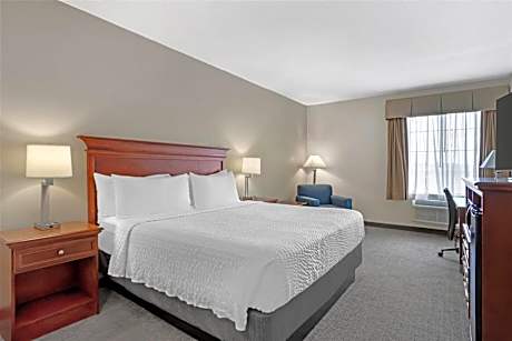 King Room - Non-Smoking