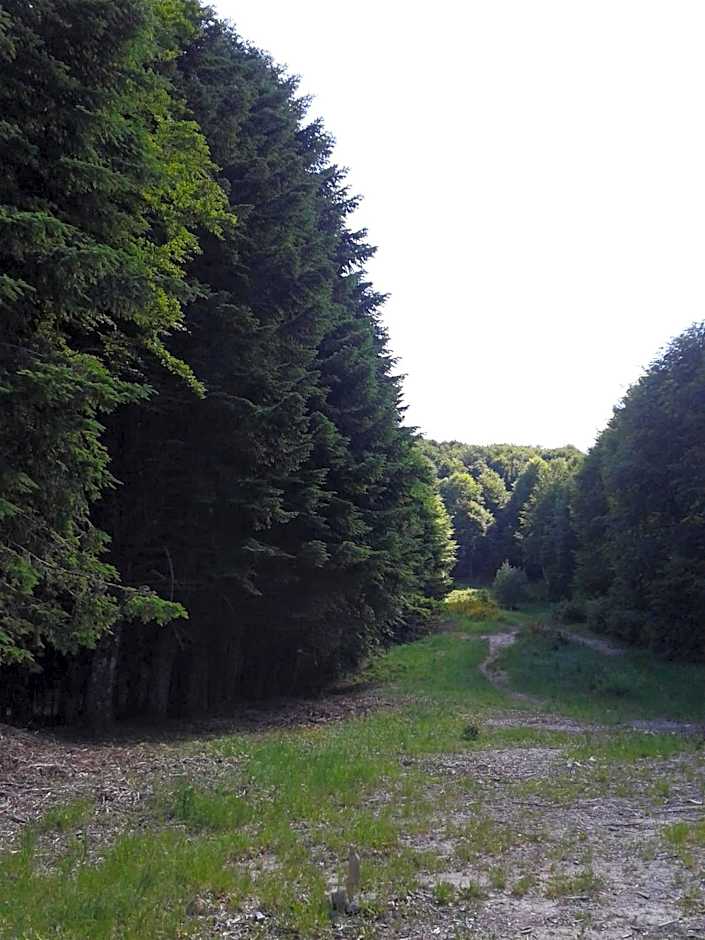 Hotel Italia Abbadia