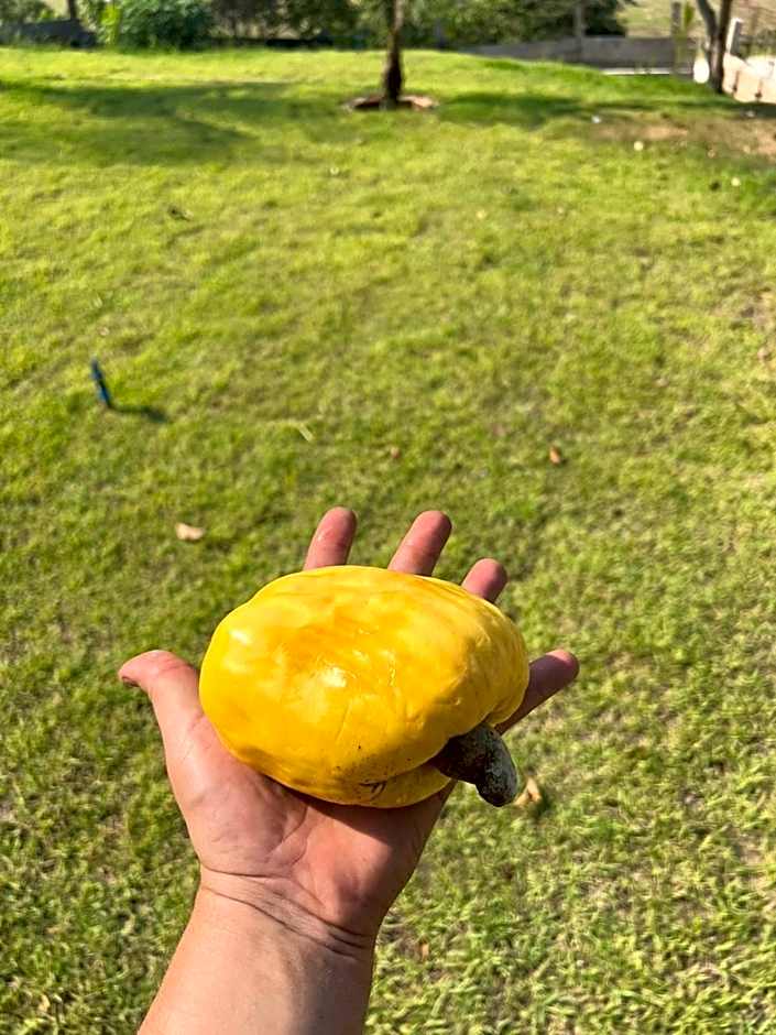 POUSADA ALTER PARA TODOS