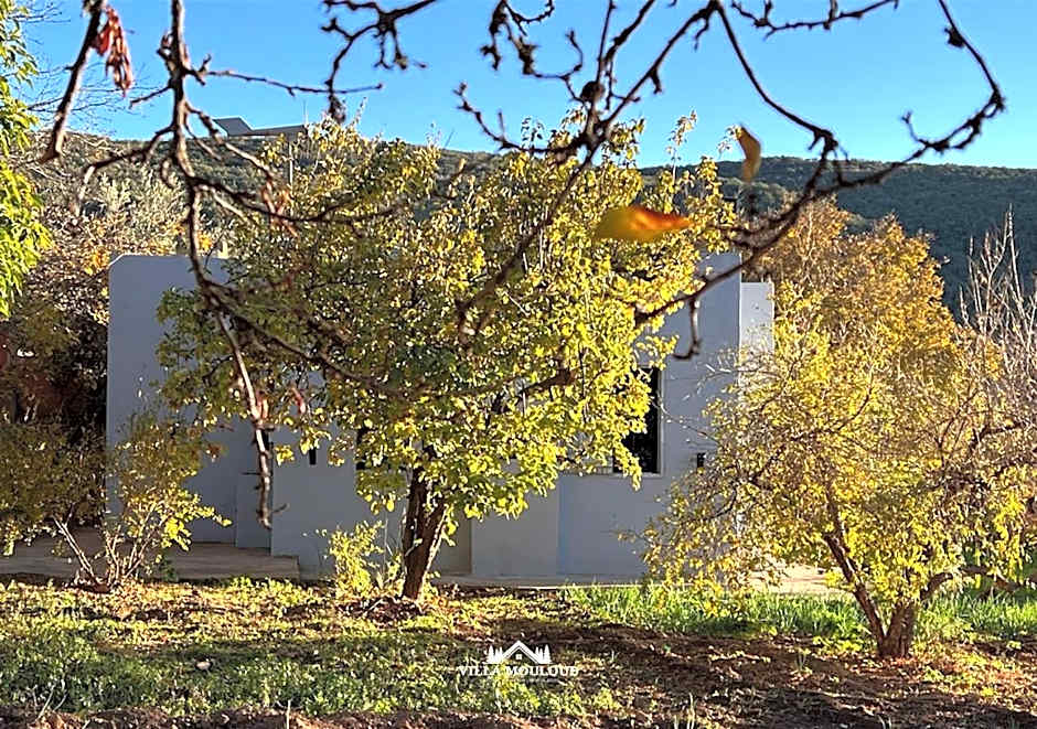 Villa Mouloud, arougou khenifra