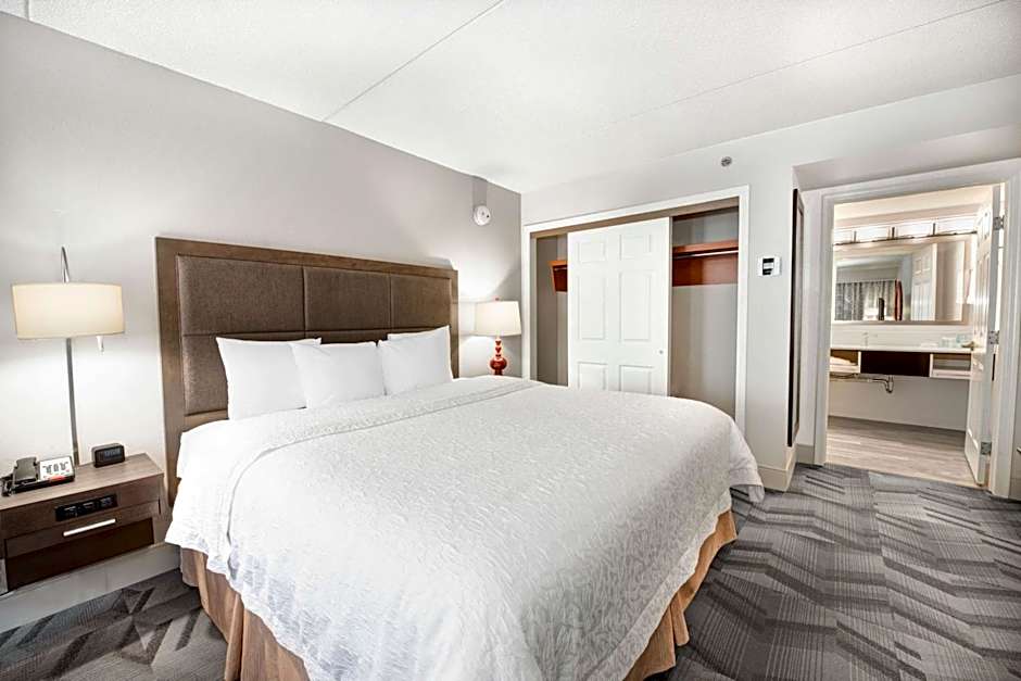 Hampton Inn By Hilton And Suites Atlanta-Galleria