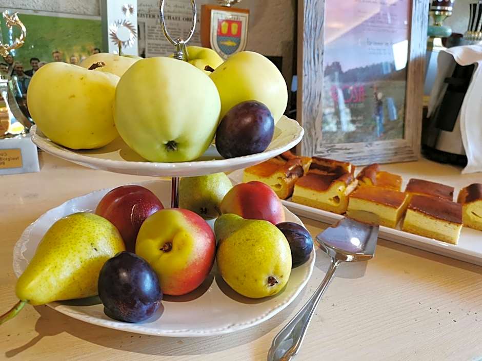 Hotelpension Oberauer Wagrain