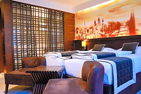 Standard Double Room - Single Use