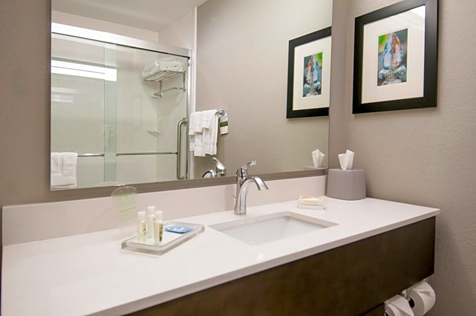 Holiday Inn - New Orleans Airport North, an IHG Hotel