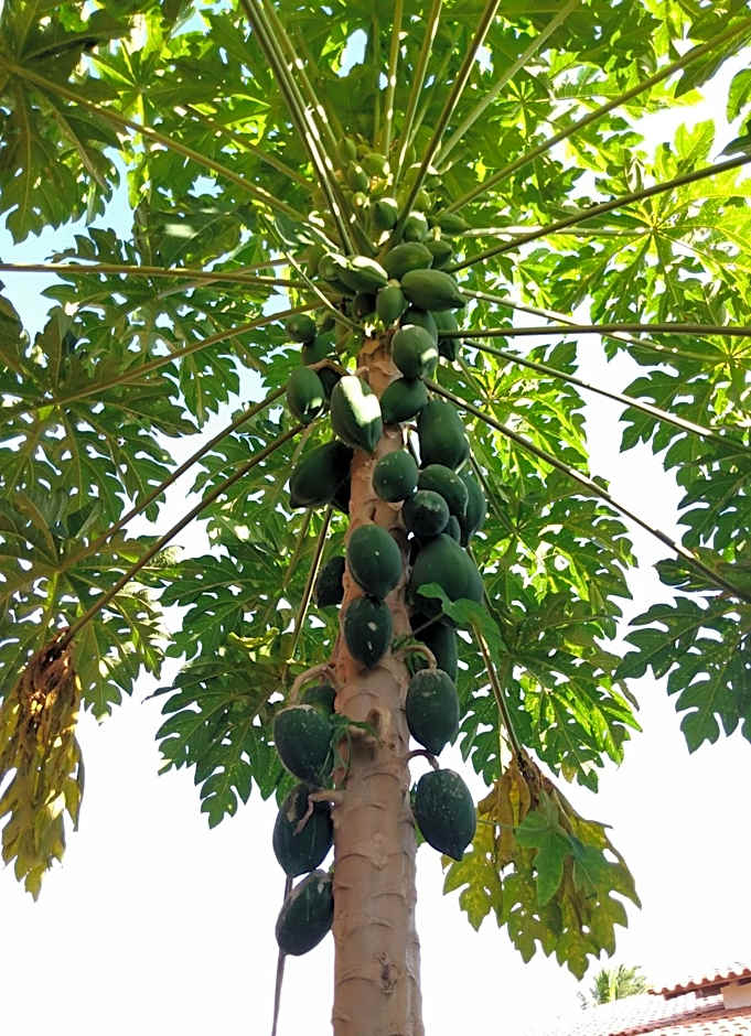 Pousada Pérola do Rio