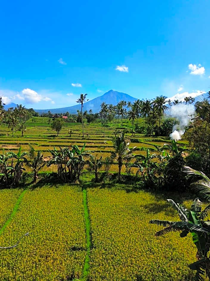 Sawah Ijen
