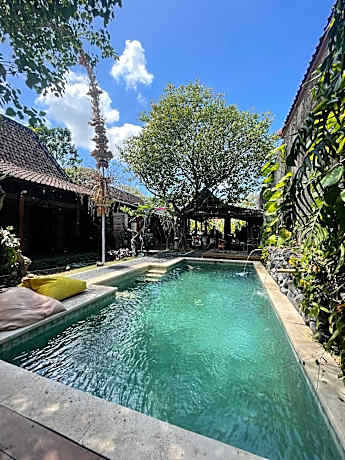 6 Bed Mixed Dorm with AC