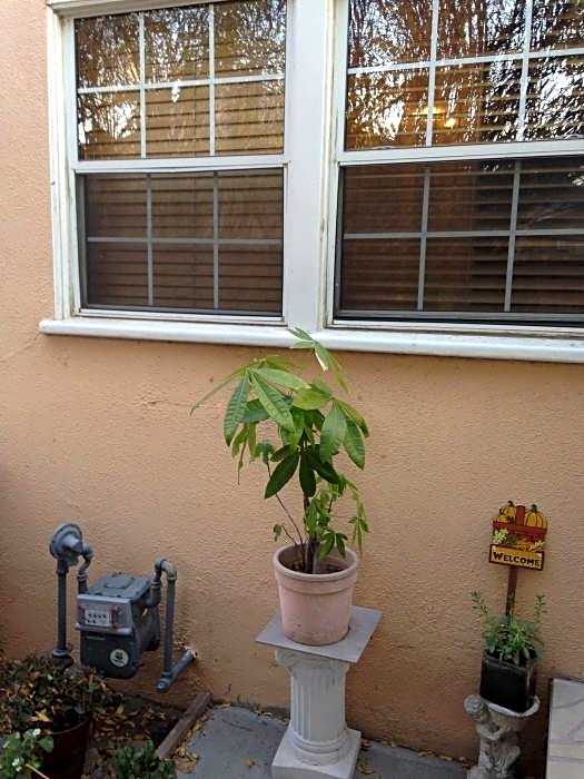 Sunshine La Bnb