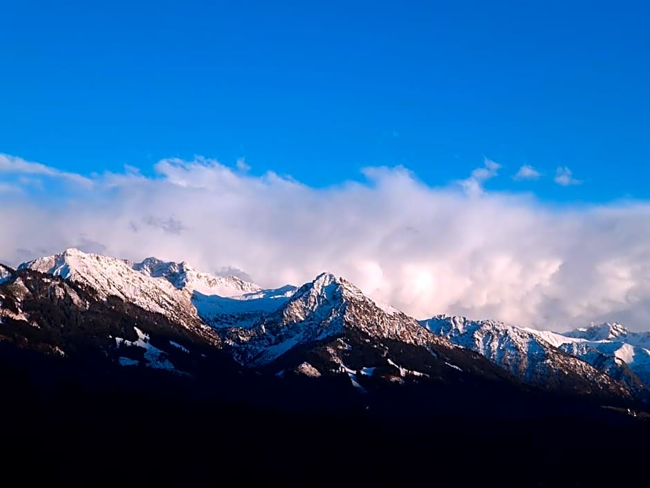 Platzhirsch Ofterschwang