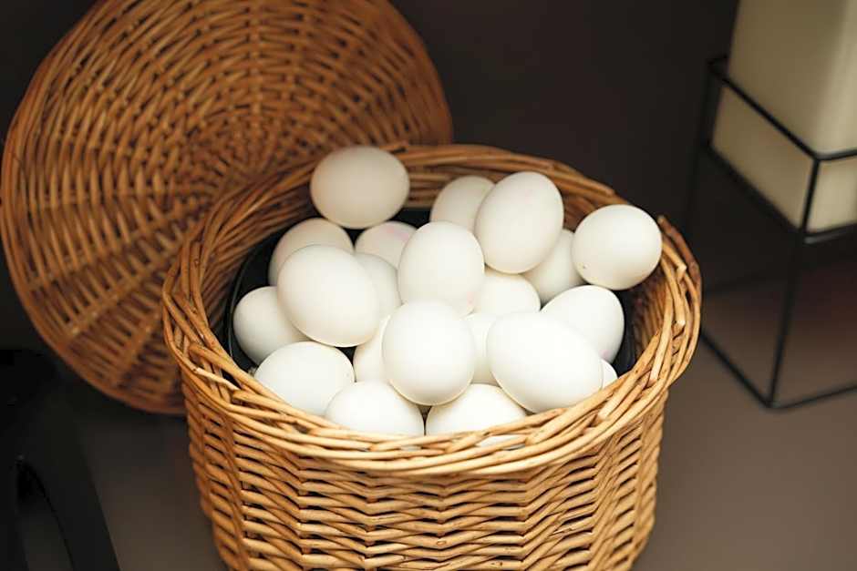 Hotel Frohnhauser Hof