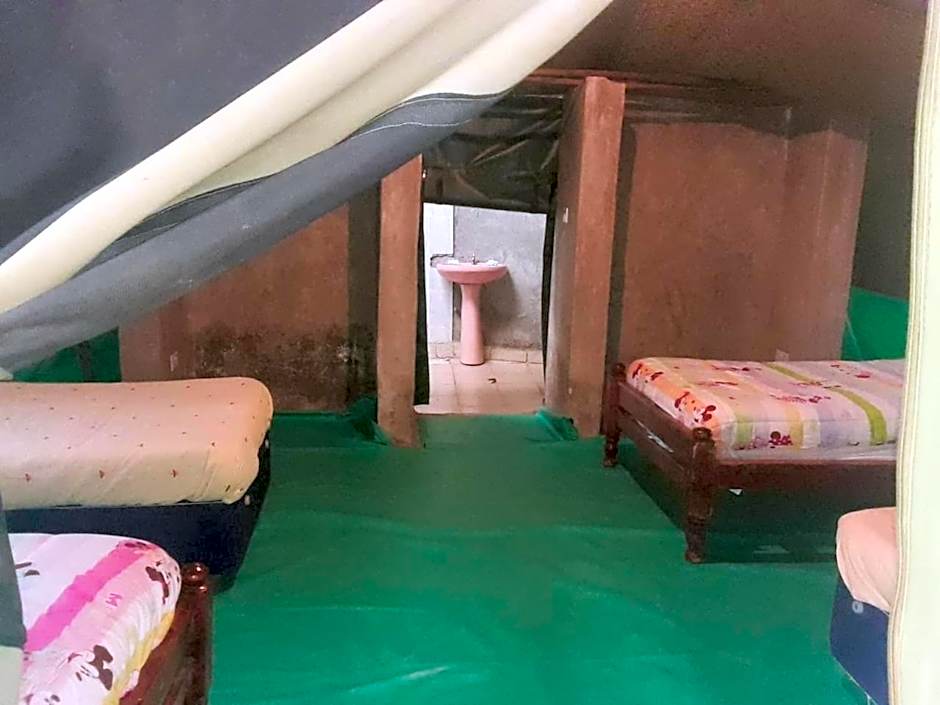 Cactus Eco Camp and Lodge