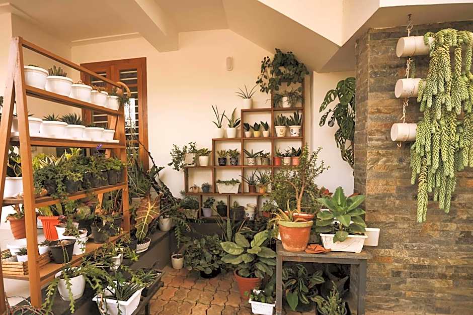 Mistygreen Homestay Thekkady