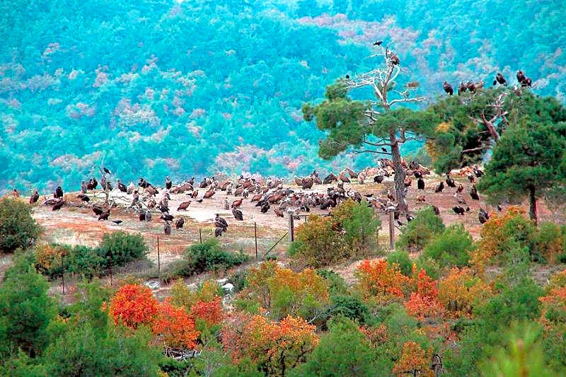 Hotel-Apartments La Strada