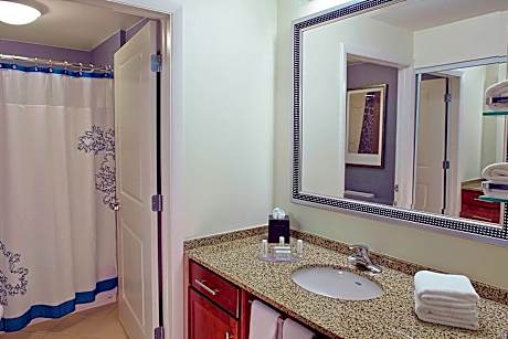 Suite, 1 Bedroom (1 King Bed and 1 Double Sofa Bed)