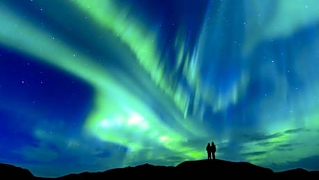 Yellow Dog Lodge, Inc.