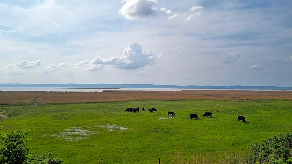 BIRKENHOF GOLS - B & B - Wohlfühl Hotel mit Wochenend-Restaurant