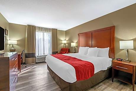 1 King Bed, Nonsmoking