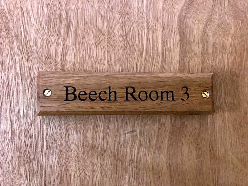 The Fossil Tree Hotel